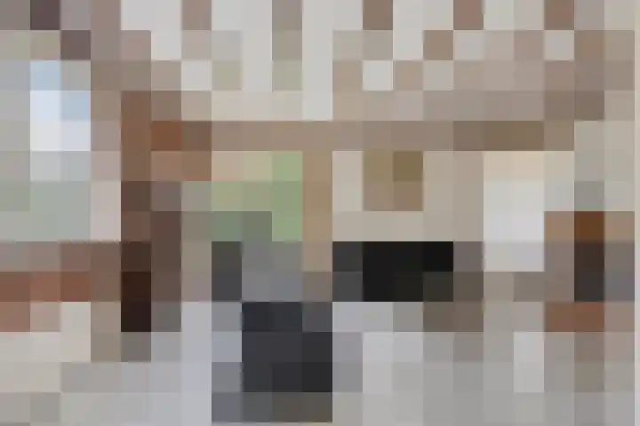Weerdslag 52 Zutphen thumbnail 5