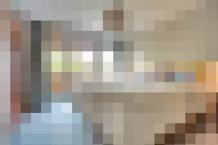 Weerdslag 64 Zutphen thumbnail 21