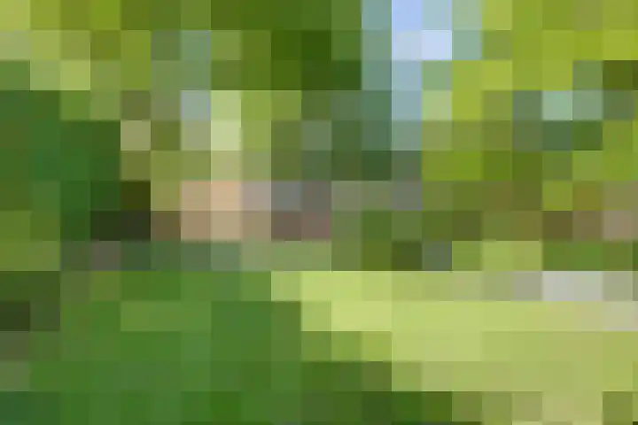 Weerdslag 64 Zutphen thumbnail 30