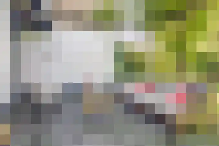 Weerdslag 64 Zutphen thumbnail 34