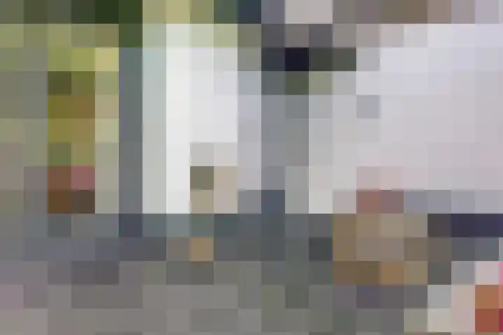 Weerdslag 64 Zutphen thumbnail 35