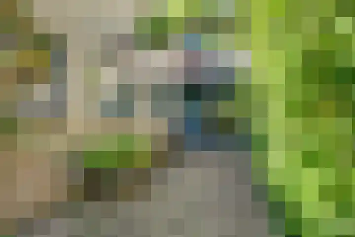 Weerdslag 64 Zutphen thumbnail 6