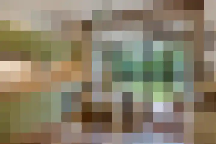 Weerdslag 93 Zutphen thumbnail 10
