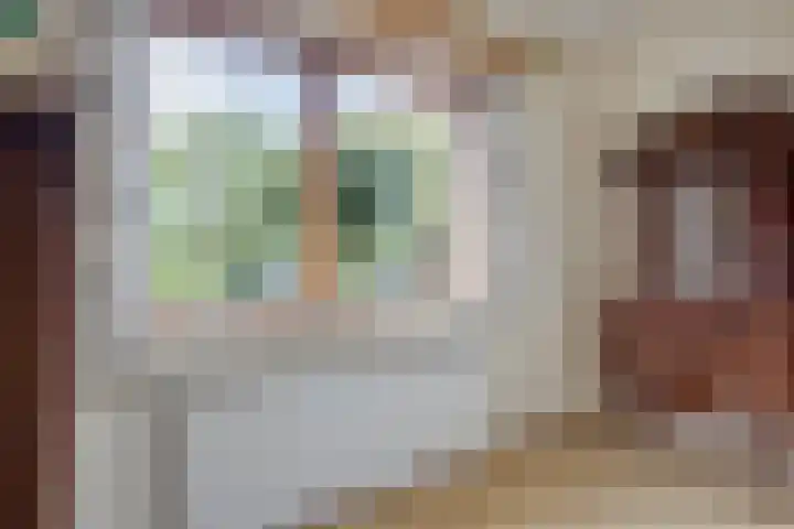 Weerdslag 93 Zutphen thumbnail 12