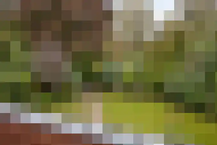 Weerdslag 93 Zutphen thumbnail 21