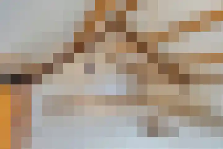 Weerdslag 93 Zutphen thumbnail 26
