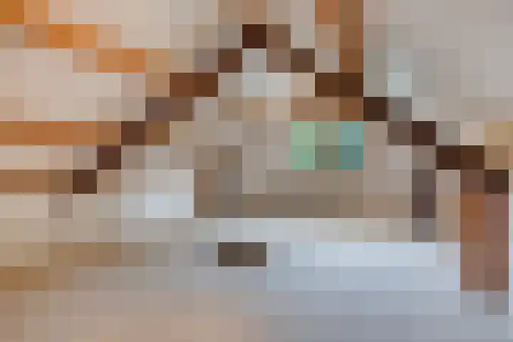 Weerdslag 93 Zutphen thumbnail 27