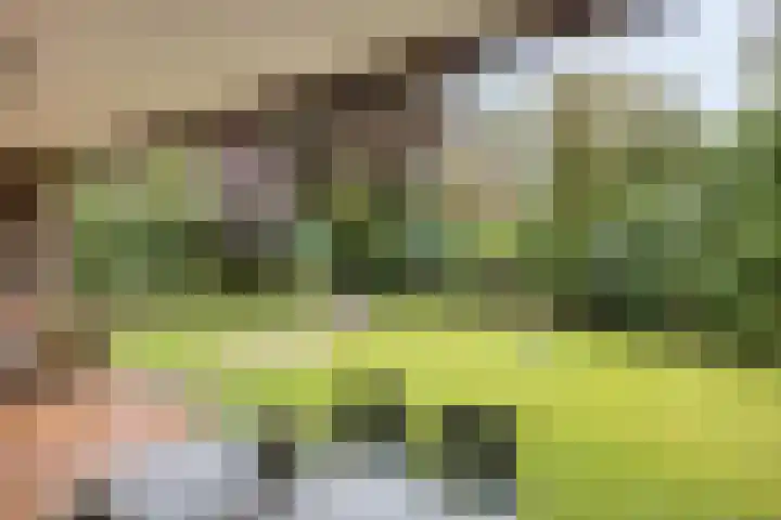 Weerdslag 93 Zutphen thumbnail 29