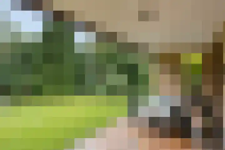 Weerdslag 93 Zutphen thumbnail 30