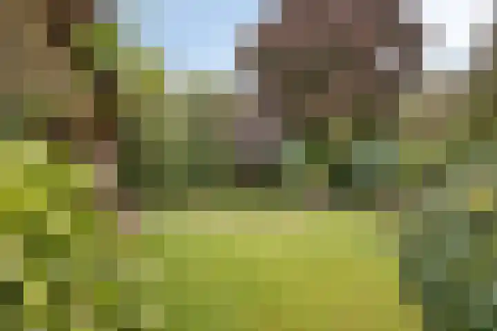 Weerdslag 93 Zutphen thumbnail 32