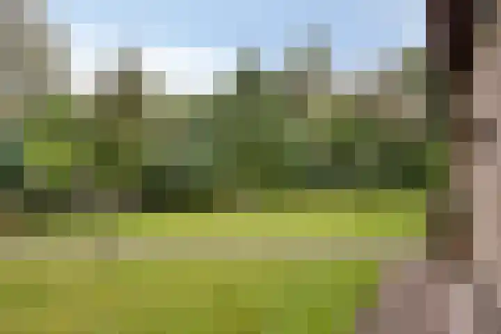 Weerdslag 93 Zutphen thumbnail 33
