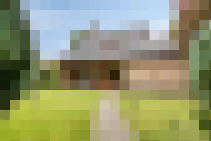 Weerdslag 93 Zutphen thumbnail 34