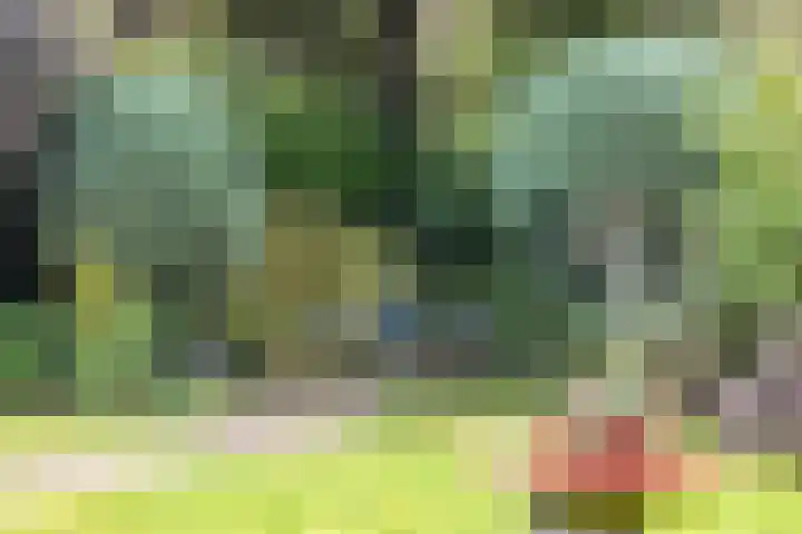 Weerdslag 93 Zutphen thumbnail 35