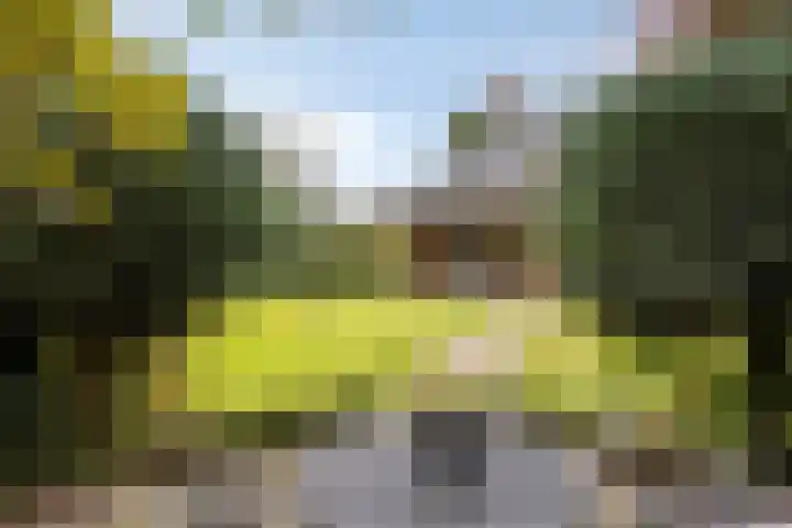 Weerdslag 93 Zutphen thumbnail 36
