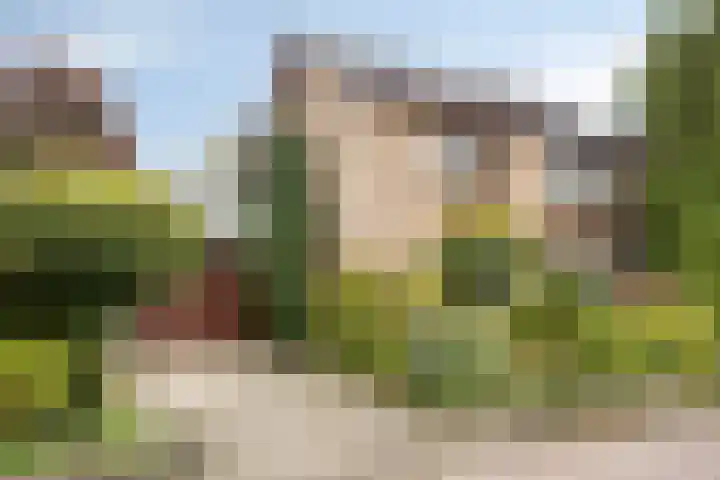 Weerdslag 93 Zutphen thumbnail 38