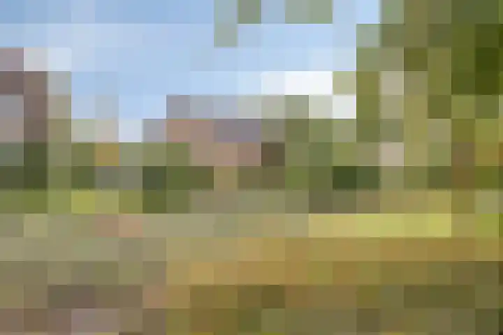 Weerdslag 93 Zutphen thumbnail 39