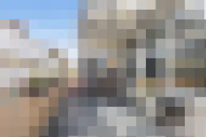 Weerdstede 25 Nieuwegein thumbnail 32