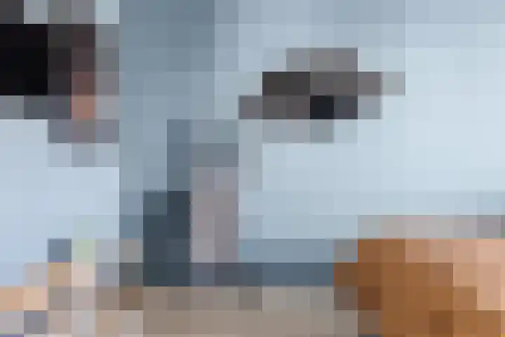 Weerdstede 25 Nieuwegein thumbnail 39