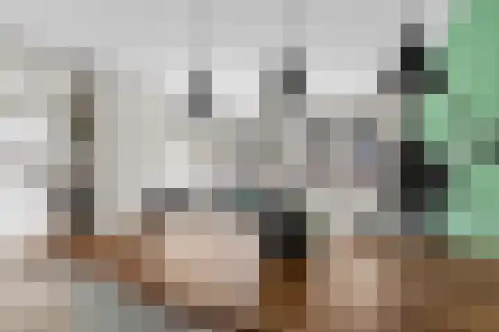 Weerdstede 25 Nieuwegein thumbnail 9