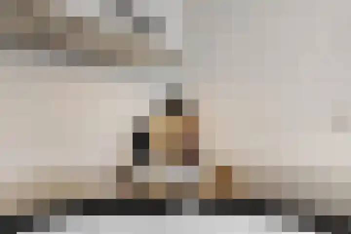 Weerdstede 59 Nieuwegein thumbnail 58