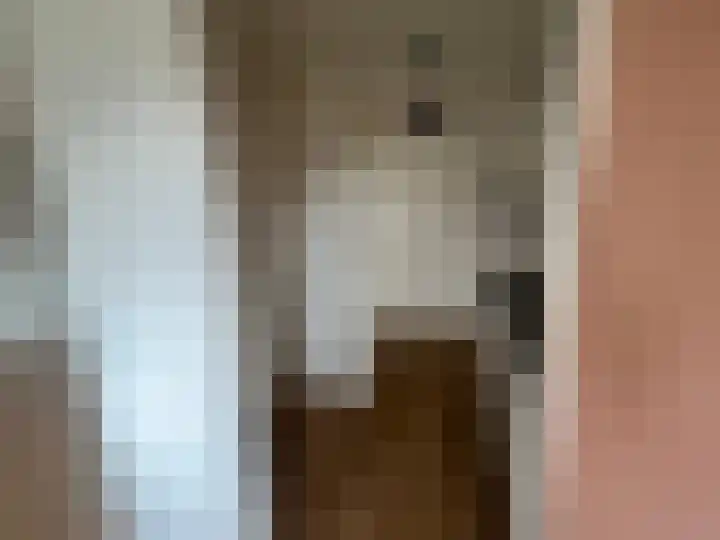 Weerdstede 87 Nieuwegein thumbnail 6