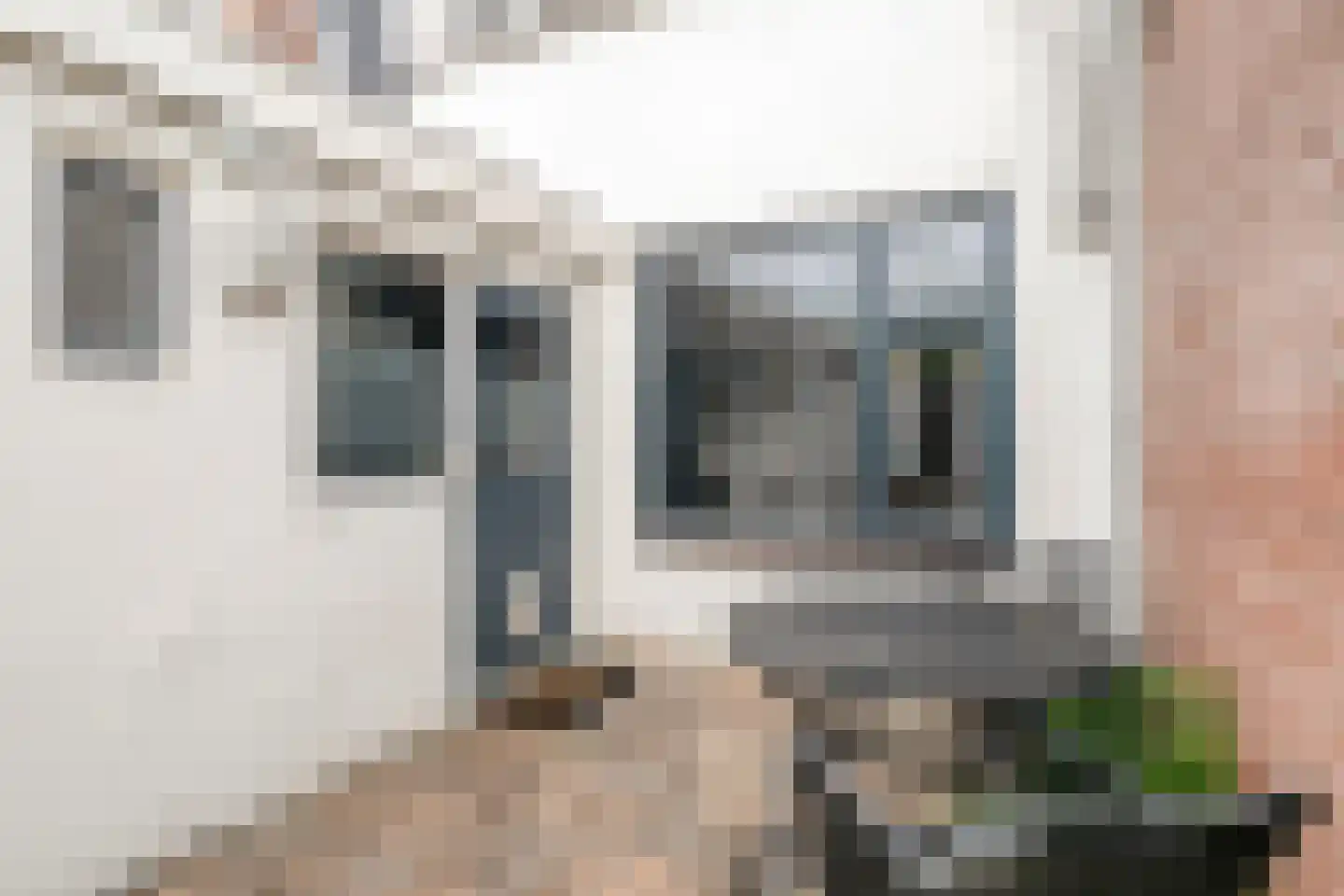 Weerdstraat 29 Meppel thumbnail 26