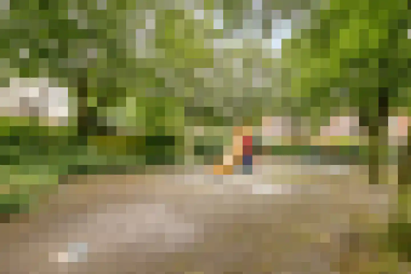 Weerdstraat 29 Meppel thumbnail 34