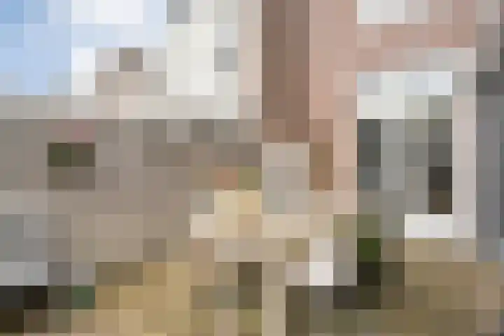 Weerdstraat 51 Meppel thumbnail 39