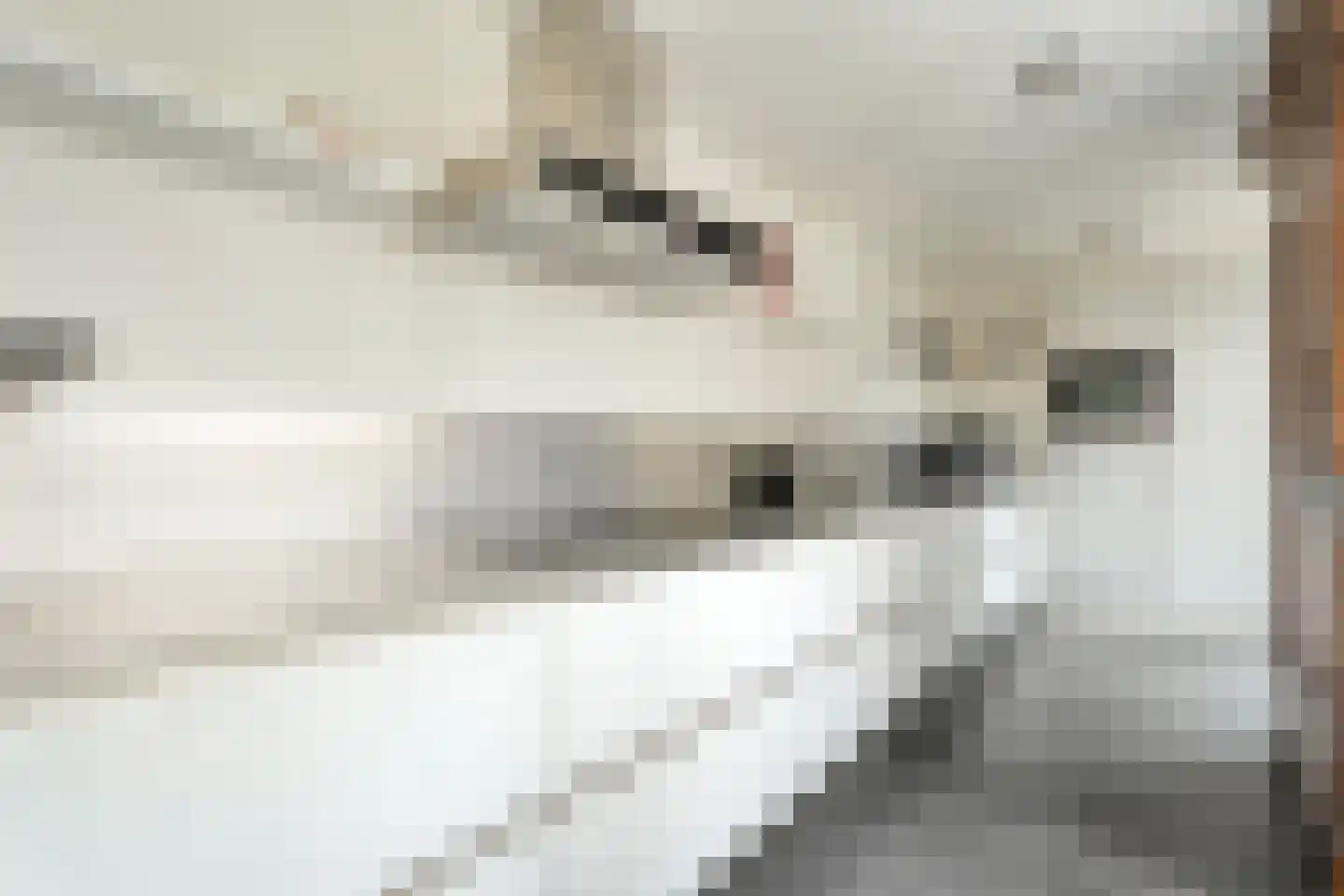 Weerdstraat 51 Meppel thumbnail 4