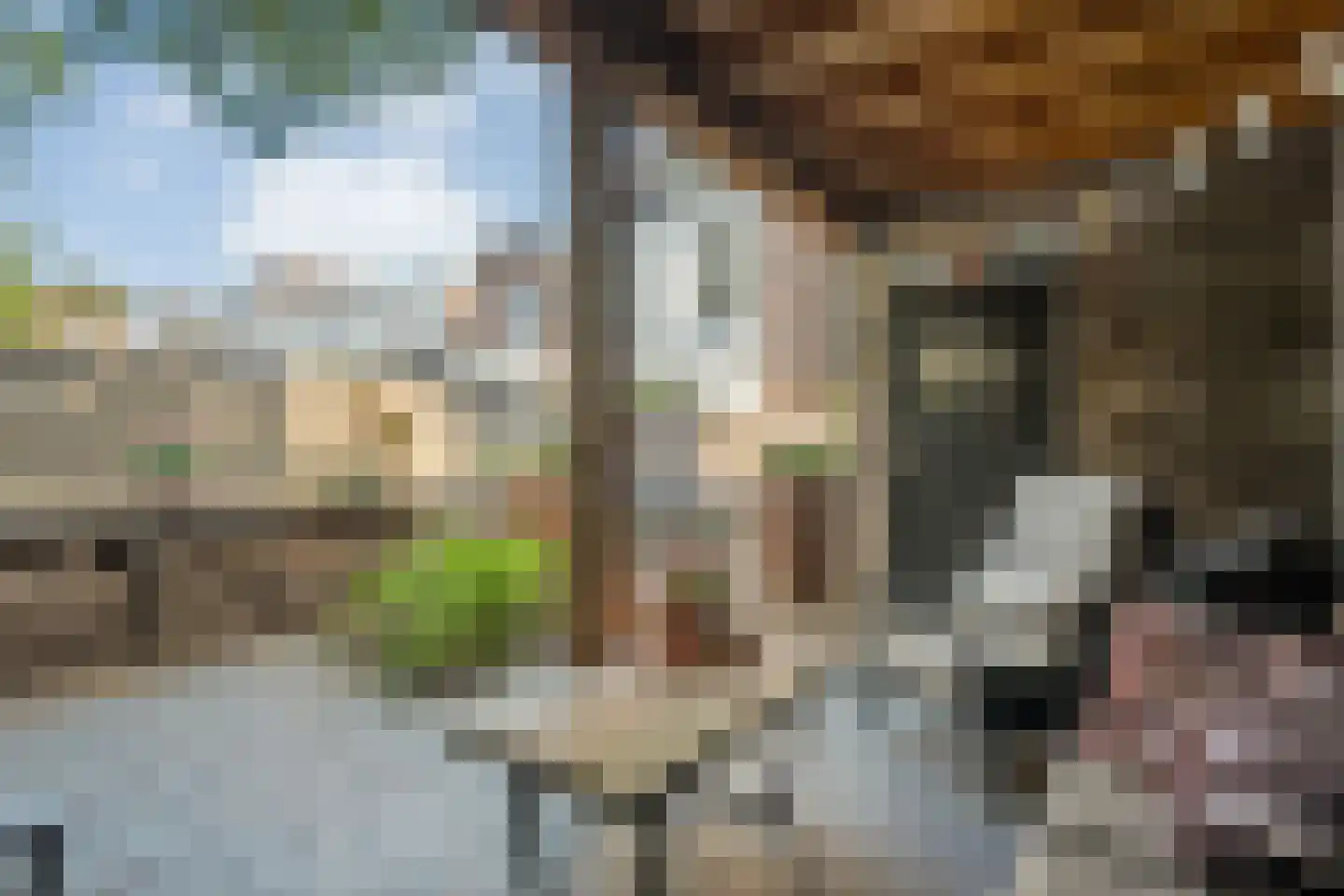 Weerdstraat 51 Meppel thumbnail 43