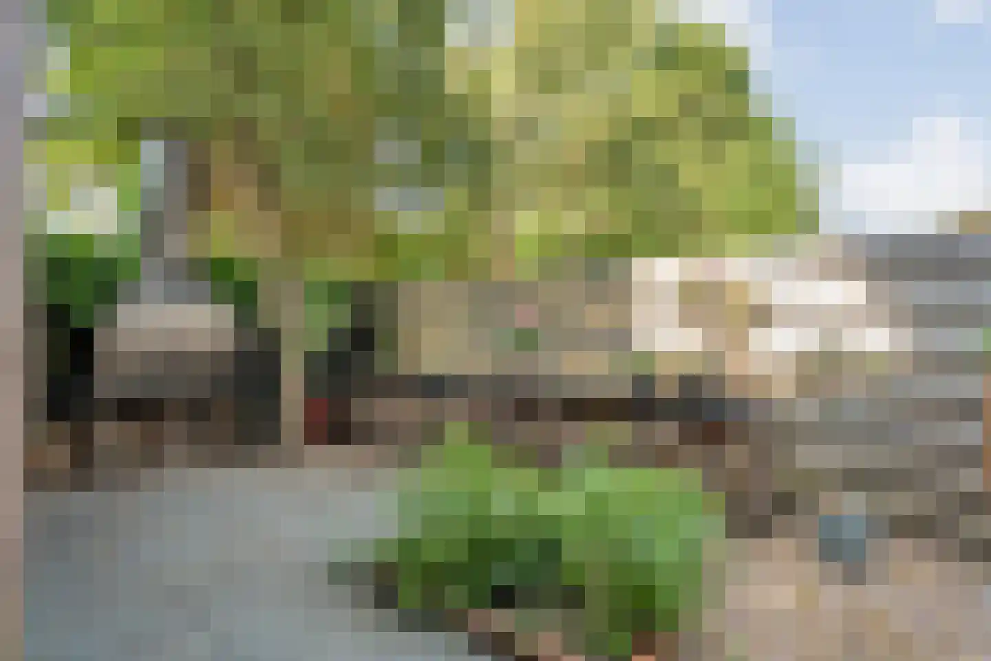 Weerdstraat 51 Meppel thumbnail 44