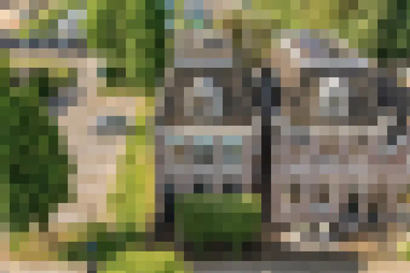 Weerdstraat 51 Meppel thumbnail 9