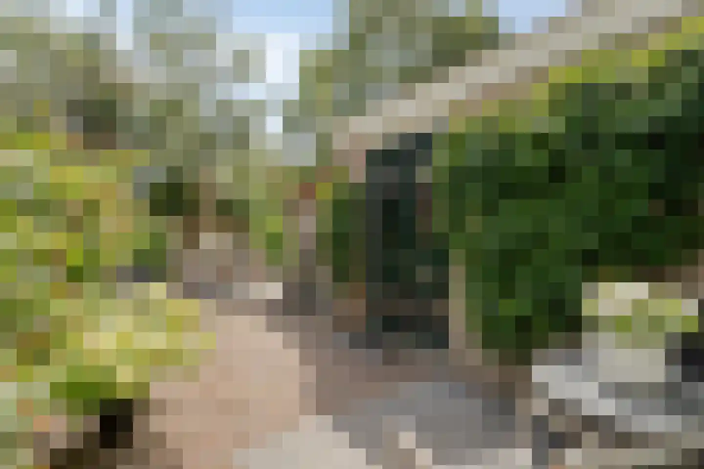 Weerdstraat 53 Meppel thumbnail 39