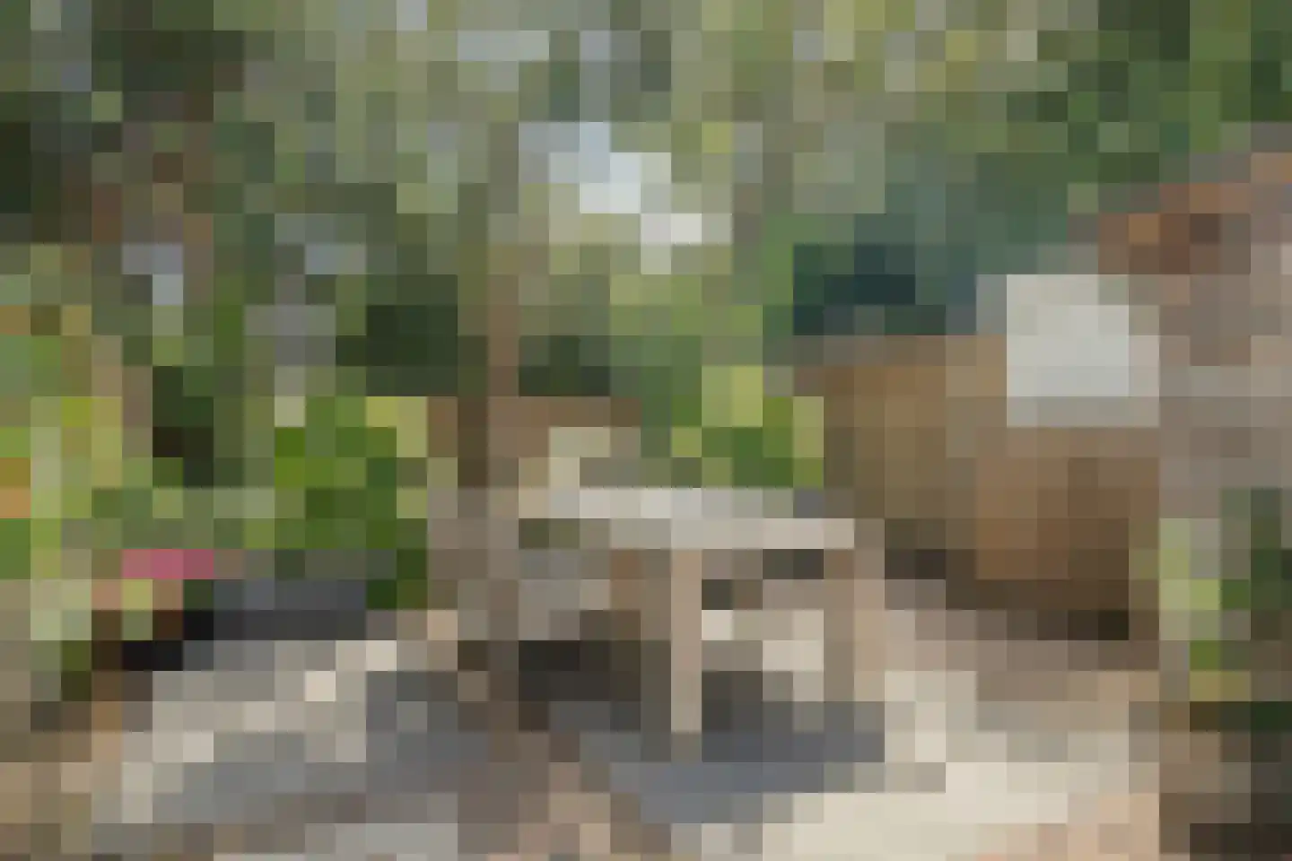 Weerdstraat 53 Meppel thumbnail 4