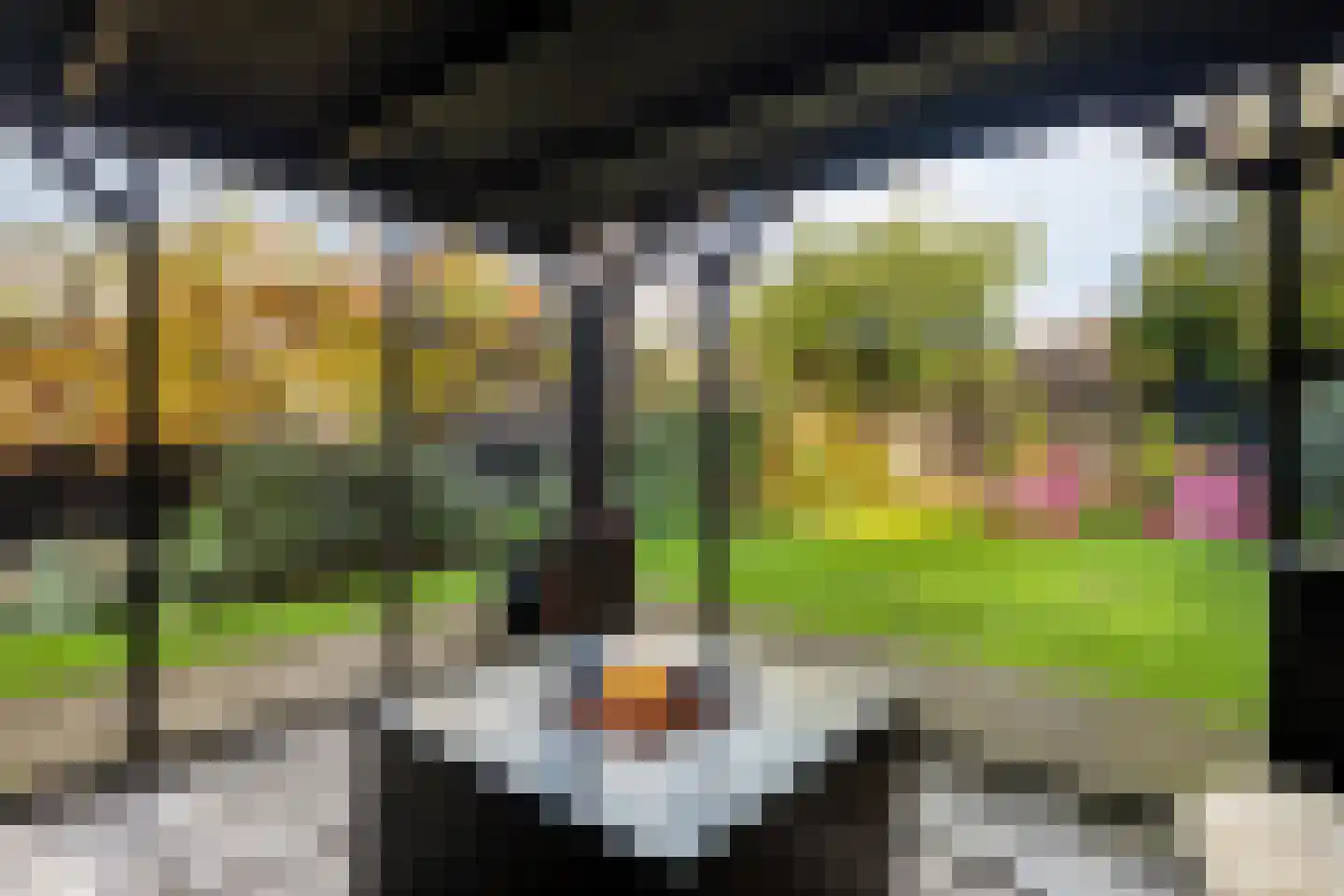 Weerdstraat 56 Meppel thumbnail 36