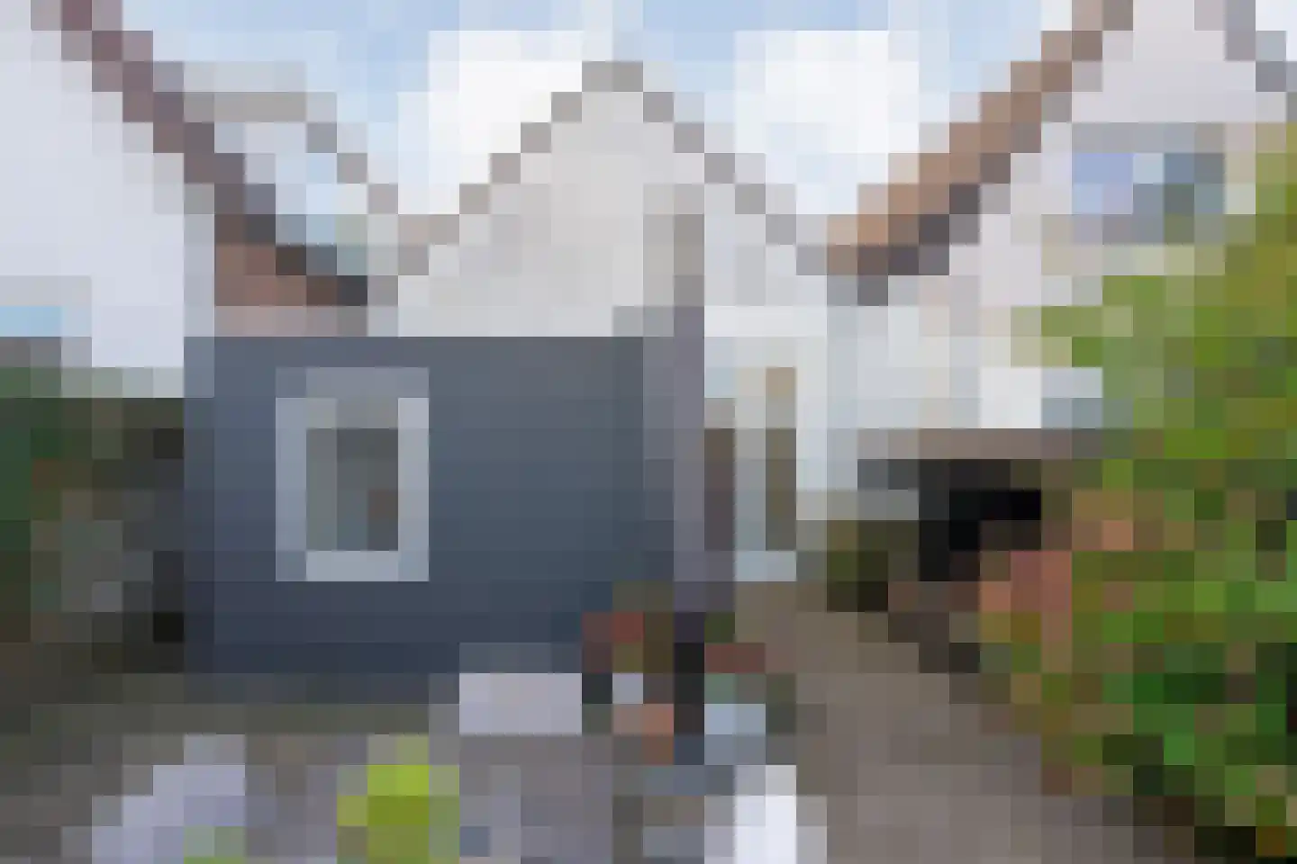 Weerdstraat 56 Meppel thumbnail 40