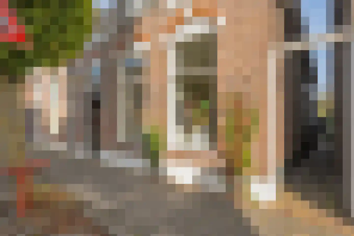 Weerdstraat 56 Meppel thumbnail 43