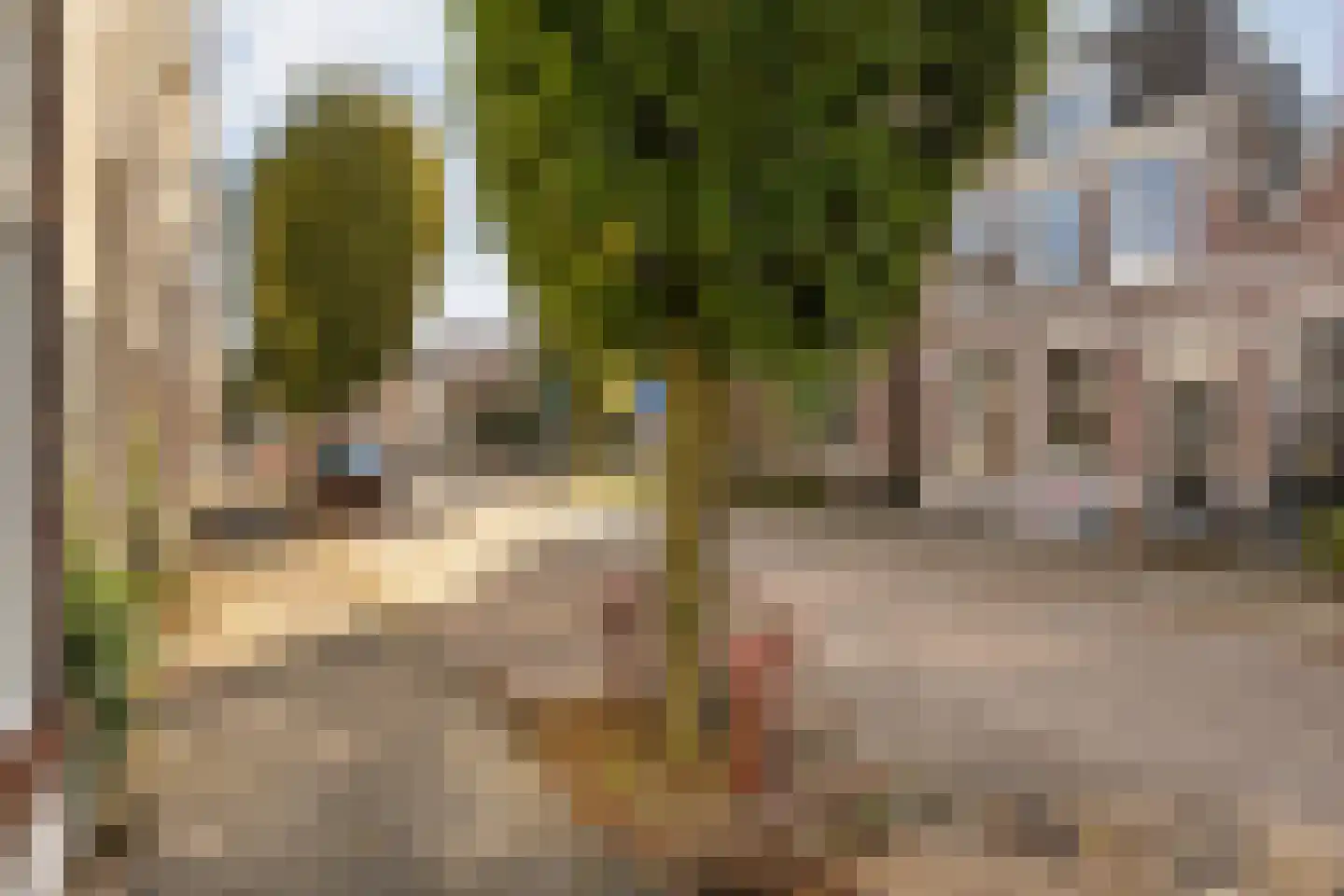 Weerdstraat 56 Meppel thumbnail 44