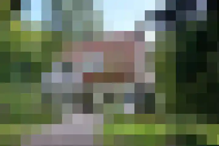 Weerdsweg 1 Epse