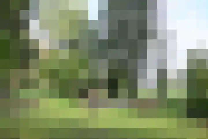 Weerdsweg 1 Epse thumbnail 10