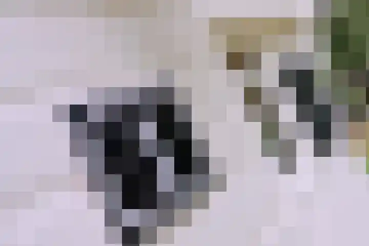 Weerdsweg 1 Epse thumbnail 12