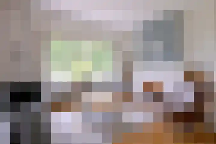 Weerdsweg 1 Epse thumbnail 21