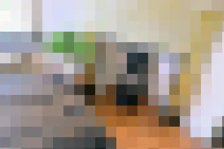 Weerdsweg 1 Epse thumbnail 29