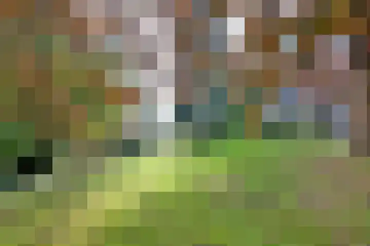 Weerdsweg 1 Epse foto 3