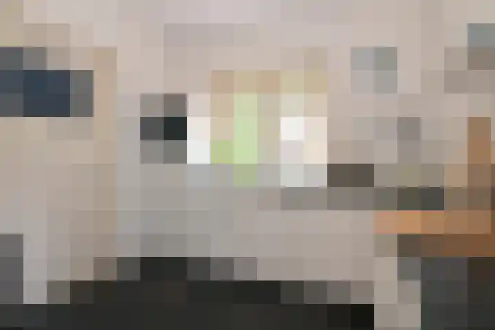 Weerdsweg 1 Epse thumbnail 31