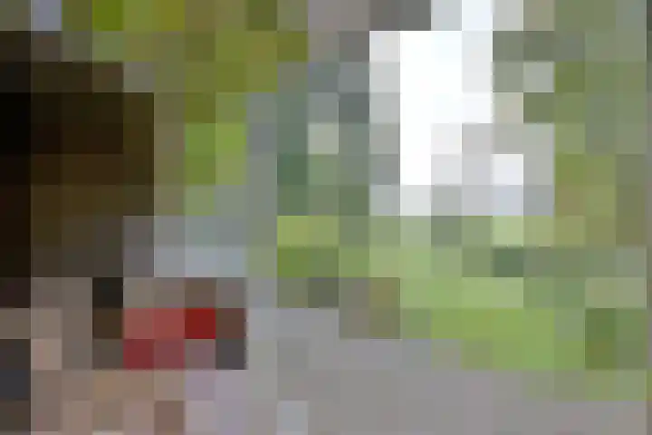 Weerdsweg 1 Epse thumbnail 33