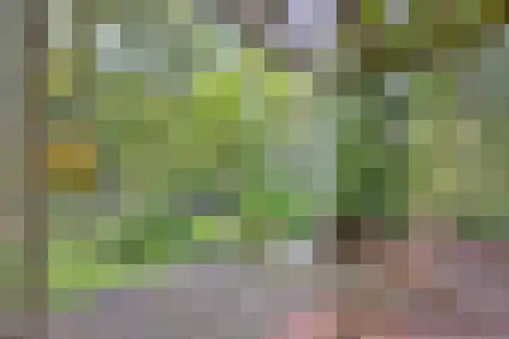 Weerdsweg 1 Epse thumbnail 34
