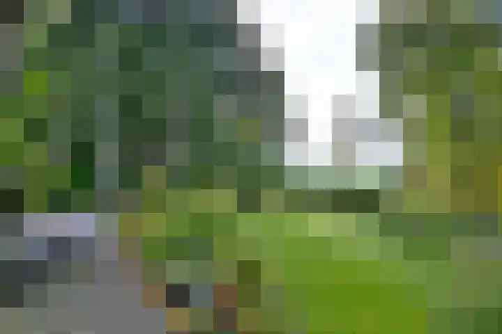 Weerdsweg 1 Epse thumbnail 35
