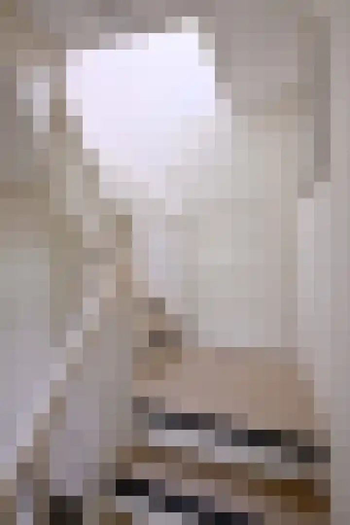 Weerdsweg 1 Epse thumbnail 37