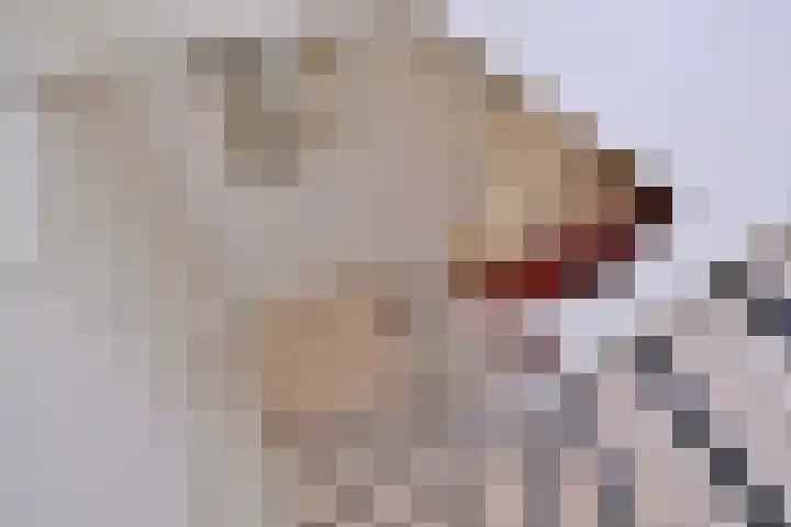 Weerdsweg 1 Epse thumbnail 38